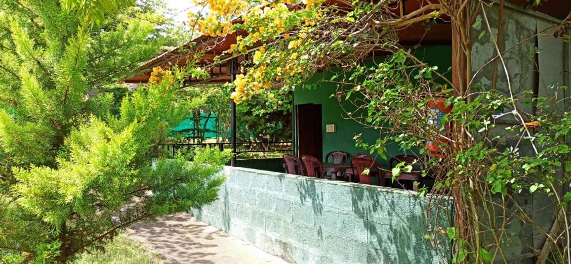 מסינאגודי Green Hills Farm And Guest House מראה חיצוני תמונה