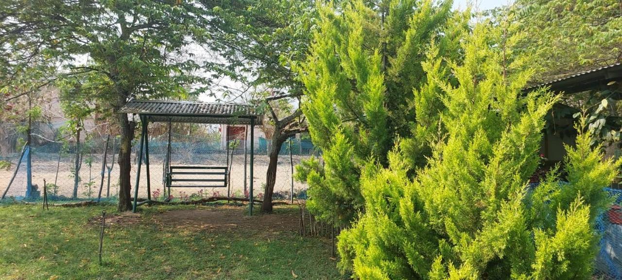 מסינאגודי Green Hills Farm And Guest House מראה חיצוני תמונה
